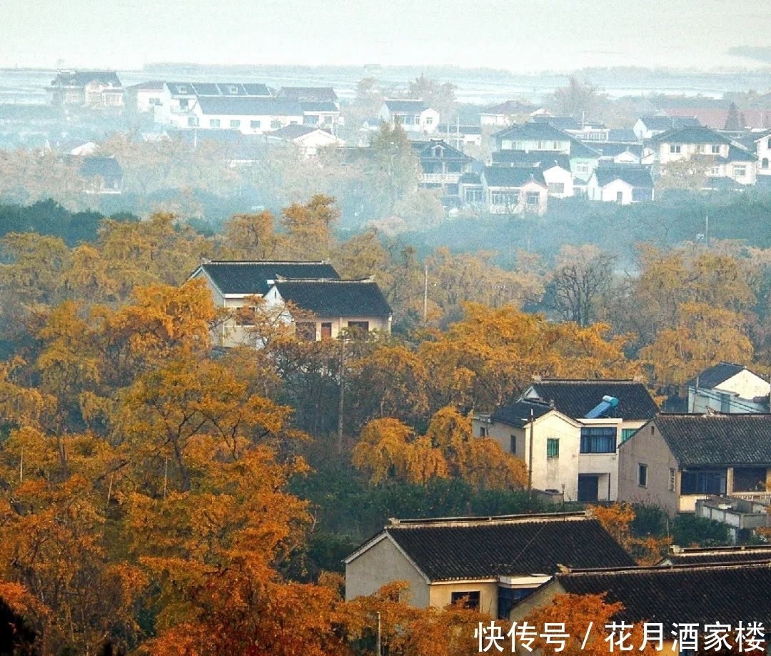 苏州太湖西山岛|苏州人的宝岛秘境，美成仙境，却被时光遗忘！