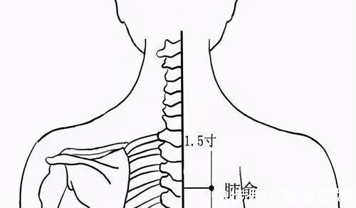 五气|冬日想养生，先补这“五气”！肾虚、睡不好的人尤其要看，请收藏