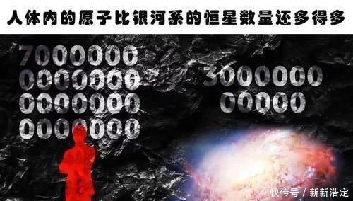 蓝鲸 你肯定没有听过的10个冷知识与现实生活息息相关