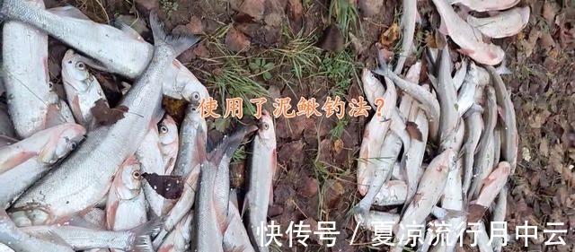 长江君|泥鳅钓法浙江钓友半天钓几十条大翘嘴鱼，网友你吃得完吗！