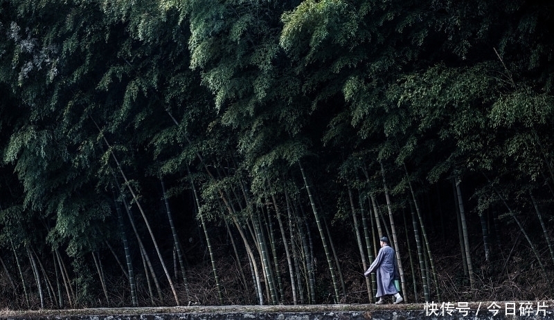 身离|90岁老僧的说:离开这贪心,清净心在哪里?能懂就开悟了