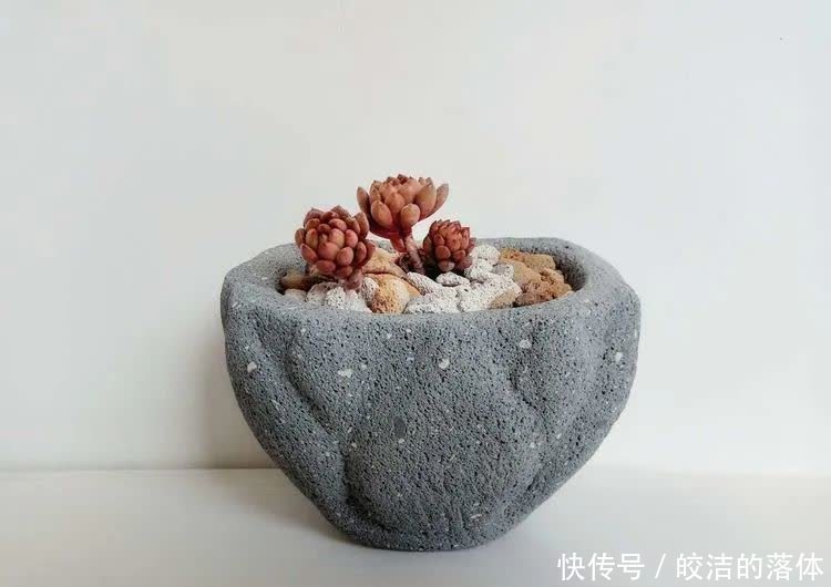 如莲似花,美好心情由你而始!