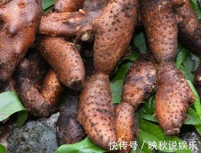 太平圣惠方|这种农村随处可见的东西，治疗跌打损伤所致的骨折竟效果这么好！