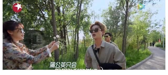 極限挑戰(zhàn)寶藏行真團寵:楊超越出場方式成焦點,虞書欣全程被忽視