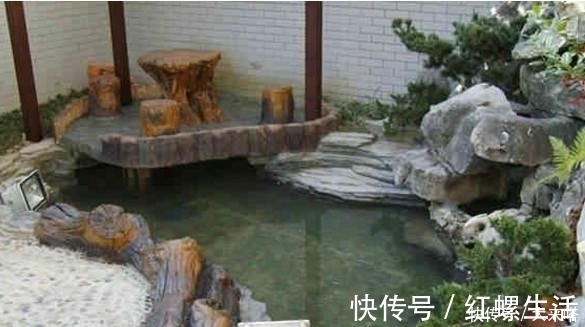 有庭院的人都开始造景观鱼池了美哭了,回家也要挖一个
