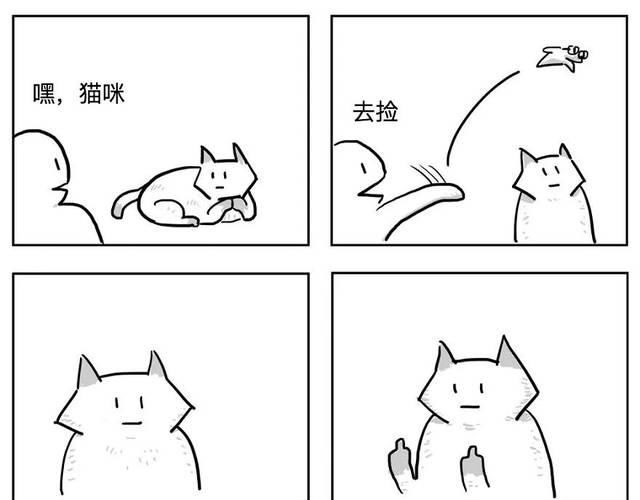 扎心|漫画：8个养猫的扎心瞬间，看完泪崩。