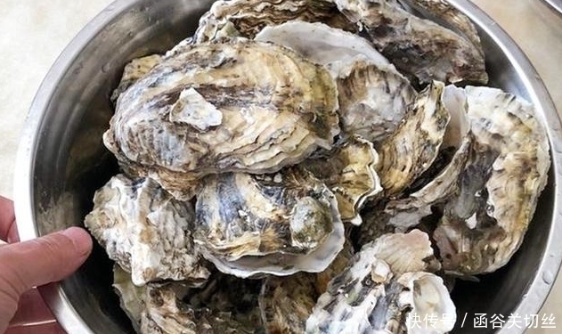 大越|买生蚝,不是越大越好老渔民牢记4点,个个新鲜肥美,不会错