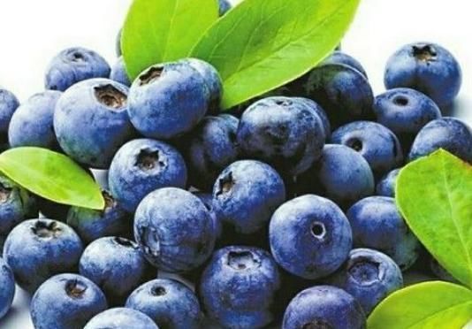 眼睛不好怎么办?医生提示:4种水果经常吃,保护眼睛效果好!