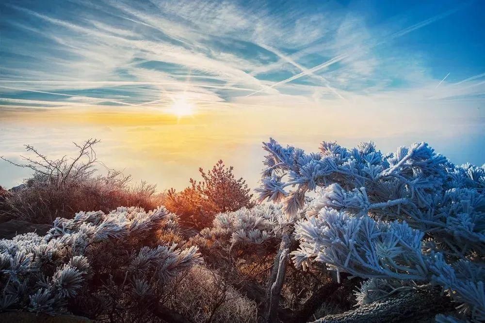 庐山|湖口去庐山的注意了！这些景区因冰冻暂时关闭，别跑空！