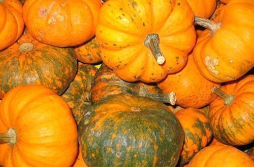 服用中药|南瓜虽是“长寿瓜”,但这3种人最好别吃,否则就是“自讨苦吃”