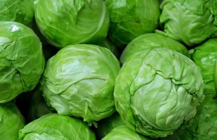买包菜的时|买包菜,选紧实的还是松散的菜农教你4招,挑的新鲜脆嫩口感好