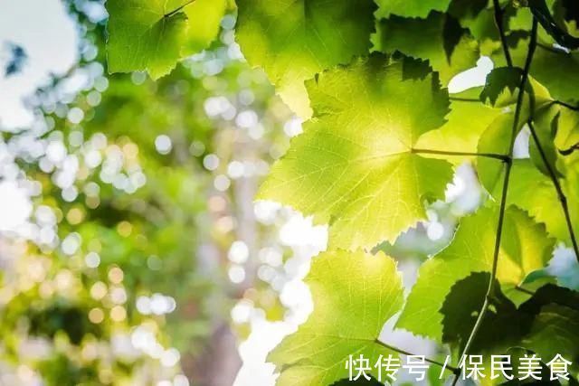 虞美人#100句关于岁月变迁的诗词,都是经典名句,写作文时肯定用得上