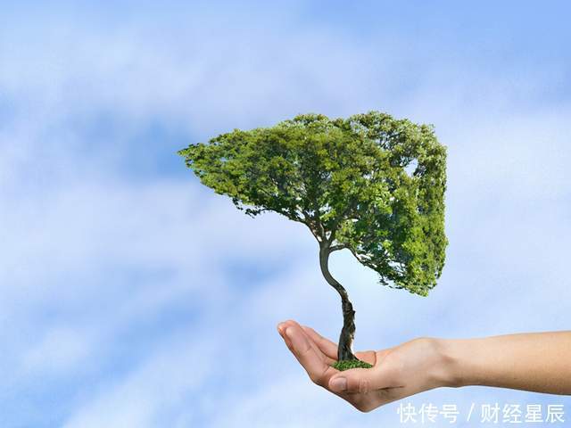 慢慢|养肝“领头羊”发现了,不是蒲公英,平时可劲吃,肝病慢慢远离你