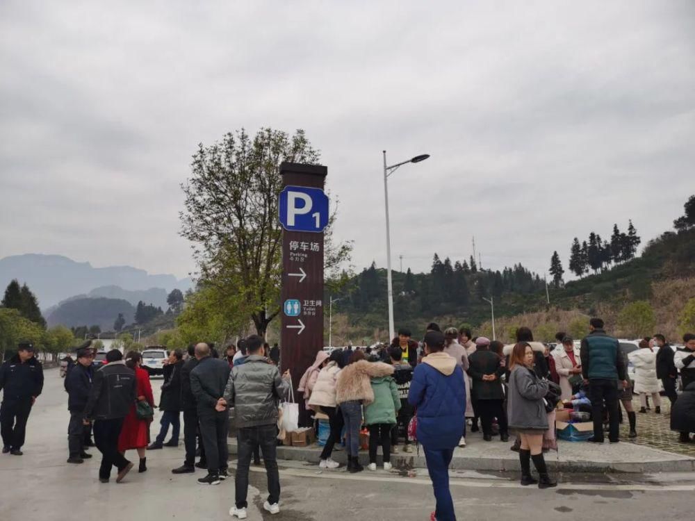 转发提醒！里耶至八面山开通免费公交 供游客乘坐