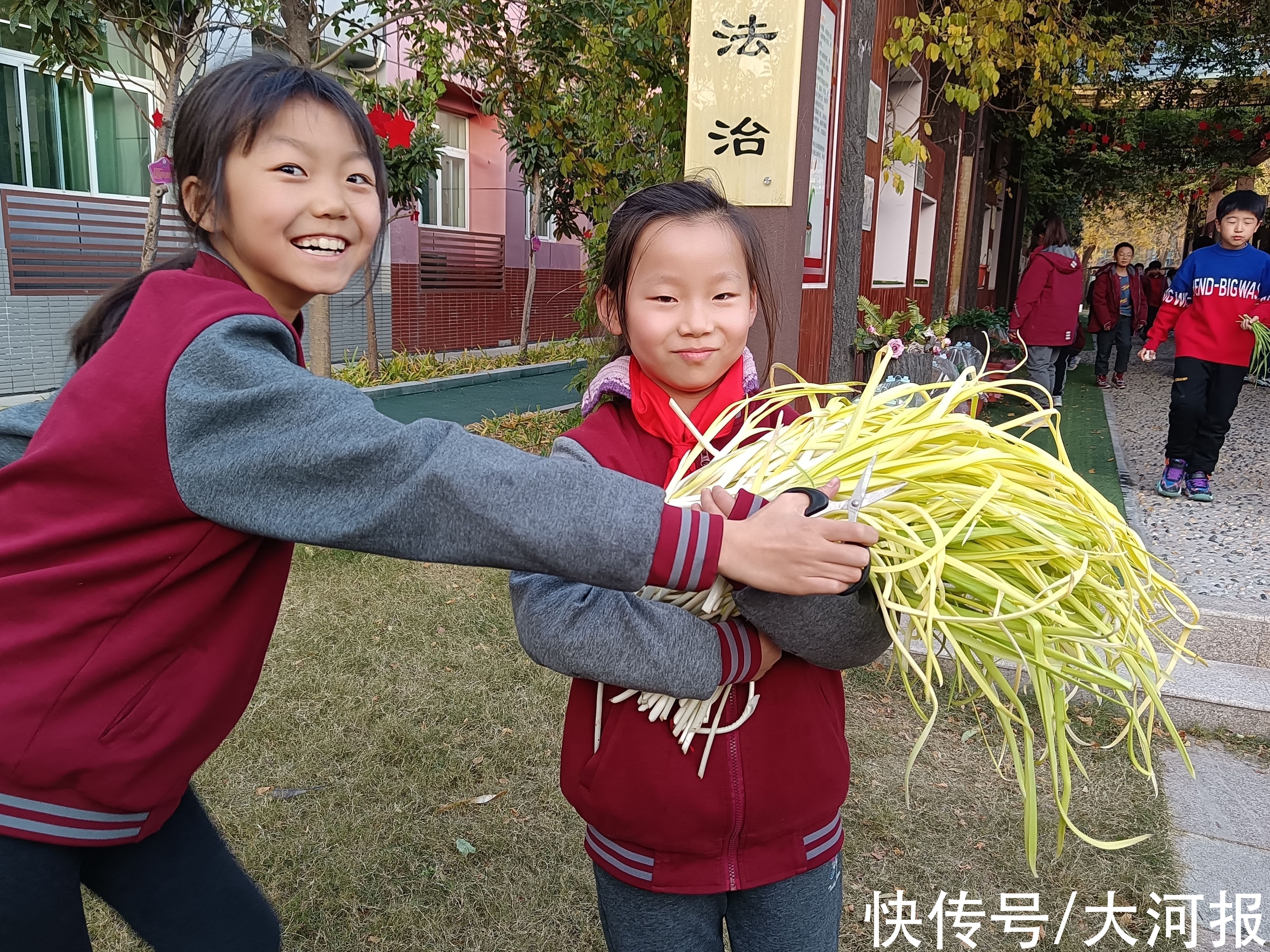 小学|菜园进校园、擀面条变课程，郑州这所小学的劳动教育凭啥“出圈儿”？