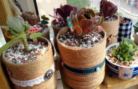 怎么将塑料瓶“一步步”打造成漂亮花盆？