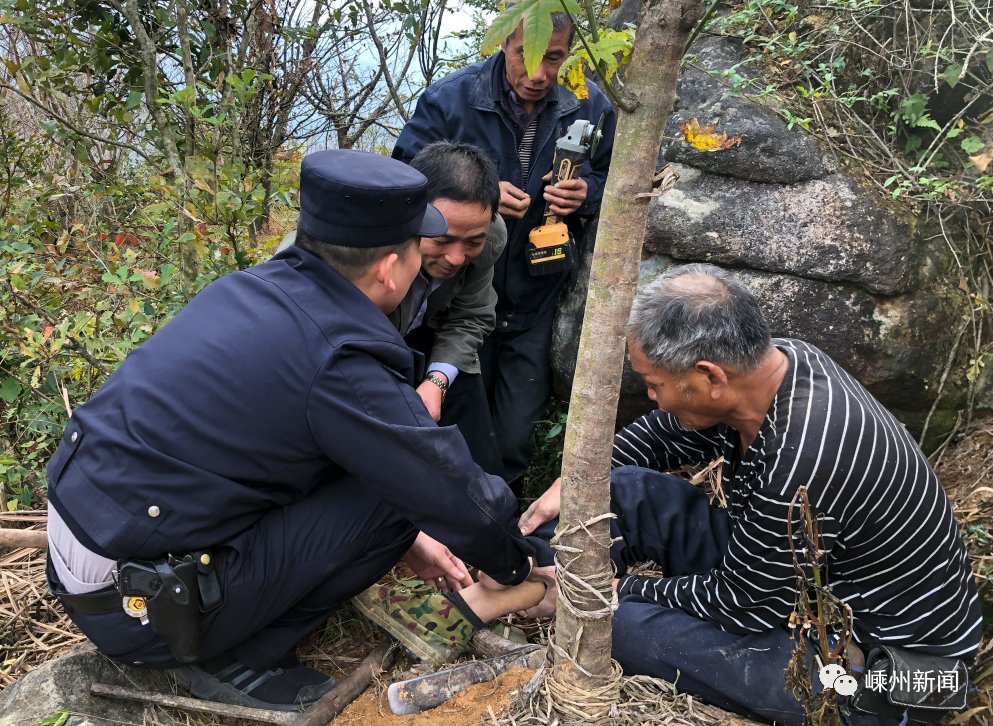 村干部|长乐一老人上山采药，不慎遭遇野猪夹，紧急时刻他们来了！