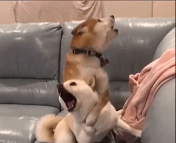 |搞笑动图:小兄弟:不要悲伤,人生的路还很长啊!