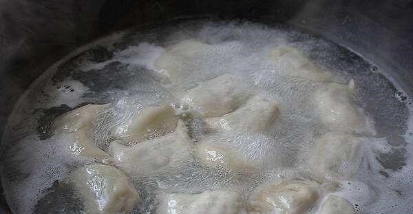 入秋后，就馋这个馅的饺子，东北人就好这一口，比萝卜韭菜鲜多了