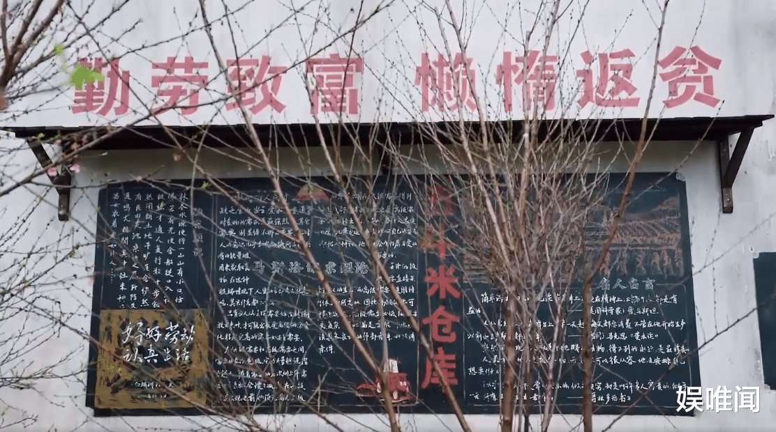 《向往5》仅开播一期，节目组就栽了两个大跟头，这一季真变味了