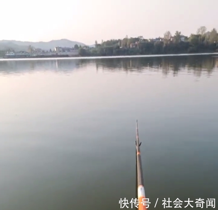 误伤?湖北男子钓草鱼却意外钓起59斤水老虎,男子:溜得腿都软了