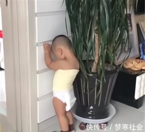 求生欲|孩子犯错后的反应,真是“求生欲”太强了,父母看后转怒为笑