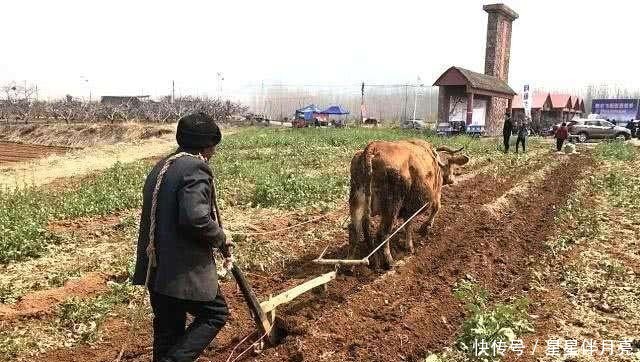 俗语“三十不发,四十不富,五十将来寻死路”,啥意思有道理吗