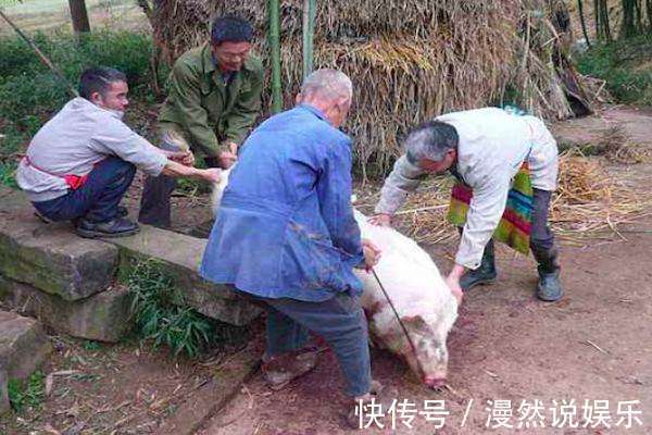 正屋|农村杀猪人为什么都命短梁宏达的解释一针见血,真相值得一看