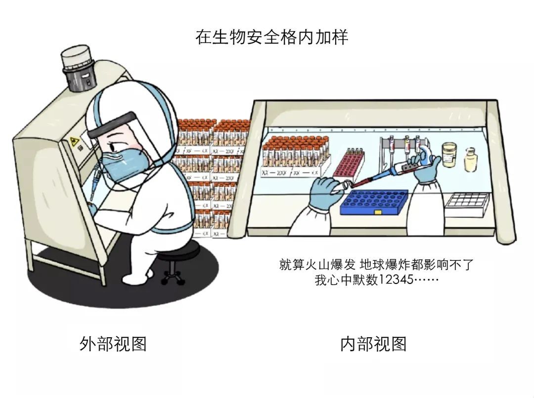 采样|核酸的检测有多麻烦？看完我都不好意思催结果了