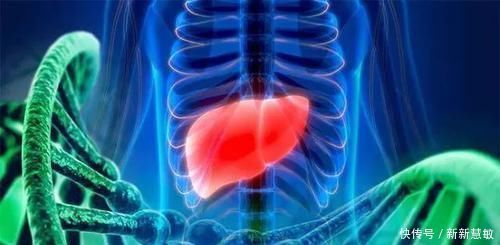 肝脏|肝不好的人,平时可以常买一些它来吃,养护肝脏,或远离肝病