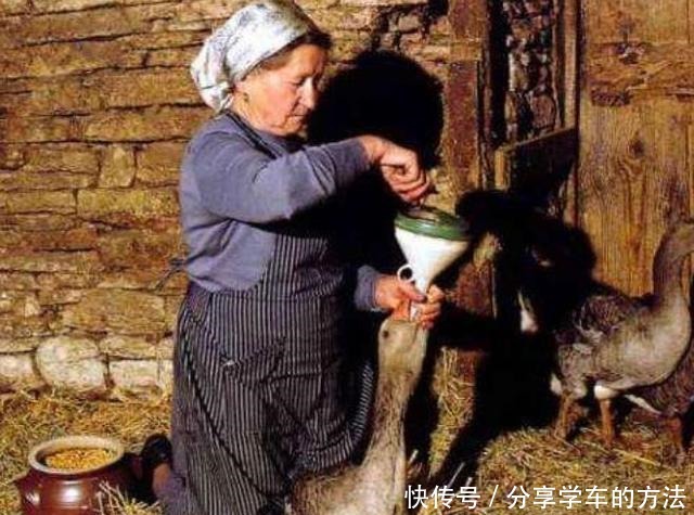 全球最“不道德”的美食,因虐待动物而取得,网友下不去嘴