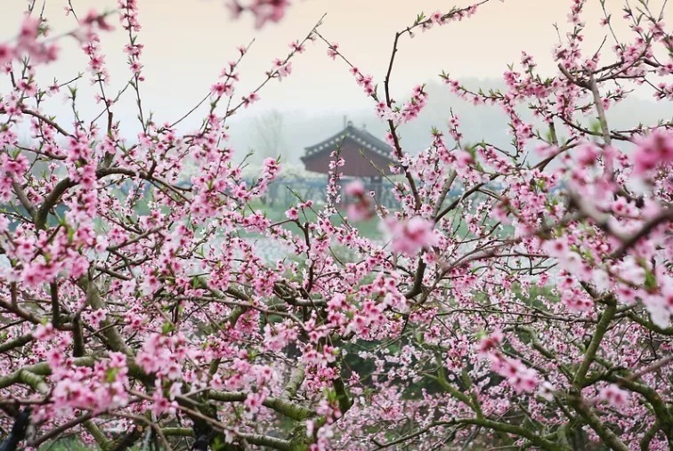 宋朝@宋朝某位尼姑,为拒绝状元郎的追求,写下了这首词,被载入《全宋词》