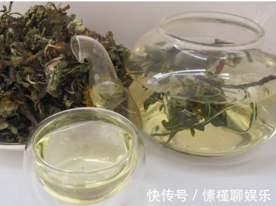 农村|肝脏不好,别忙着吃药,农村挖“此根”泡水,护肝又排毒