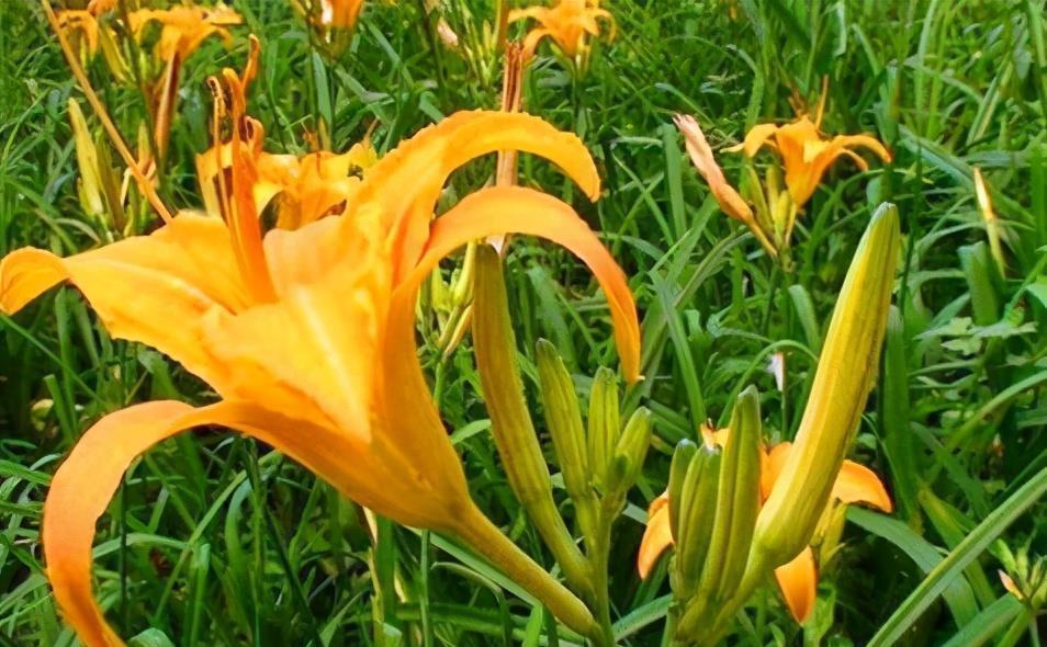 陈医师|女性不妨多吃3种食物，营养丰富、减肥瘦身，谁吃谁受益！