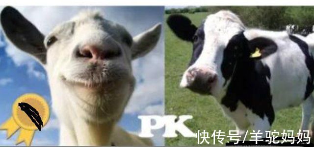 营养价值|“奶粉”和“牛奶”究竟有啥差别?父母最好提前了解，少花冤枉钱