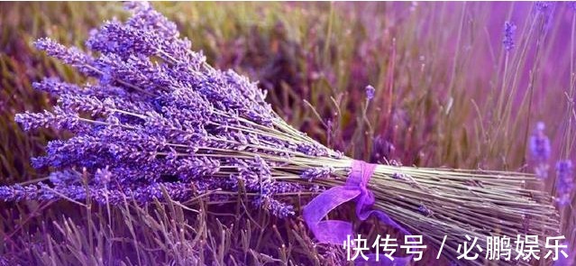 养花只需要以下5点,做到了你就是养花高手,养啥都爆盆