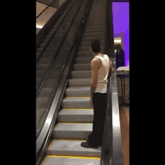 |搞笑GIF:别装了 我知道你就是故意的