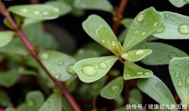 地瓜|怀孕后,准妈妈尽量少吃这3种食物,尤其是第一种,非常受欢迎!