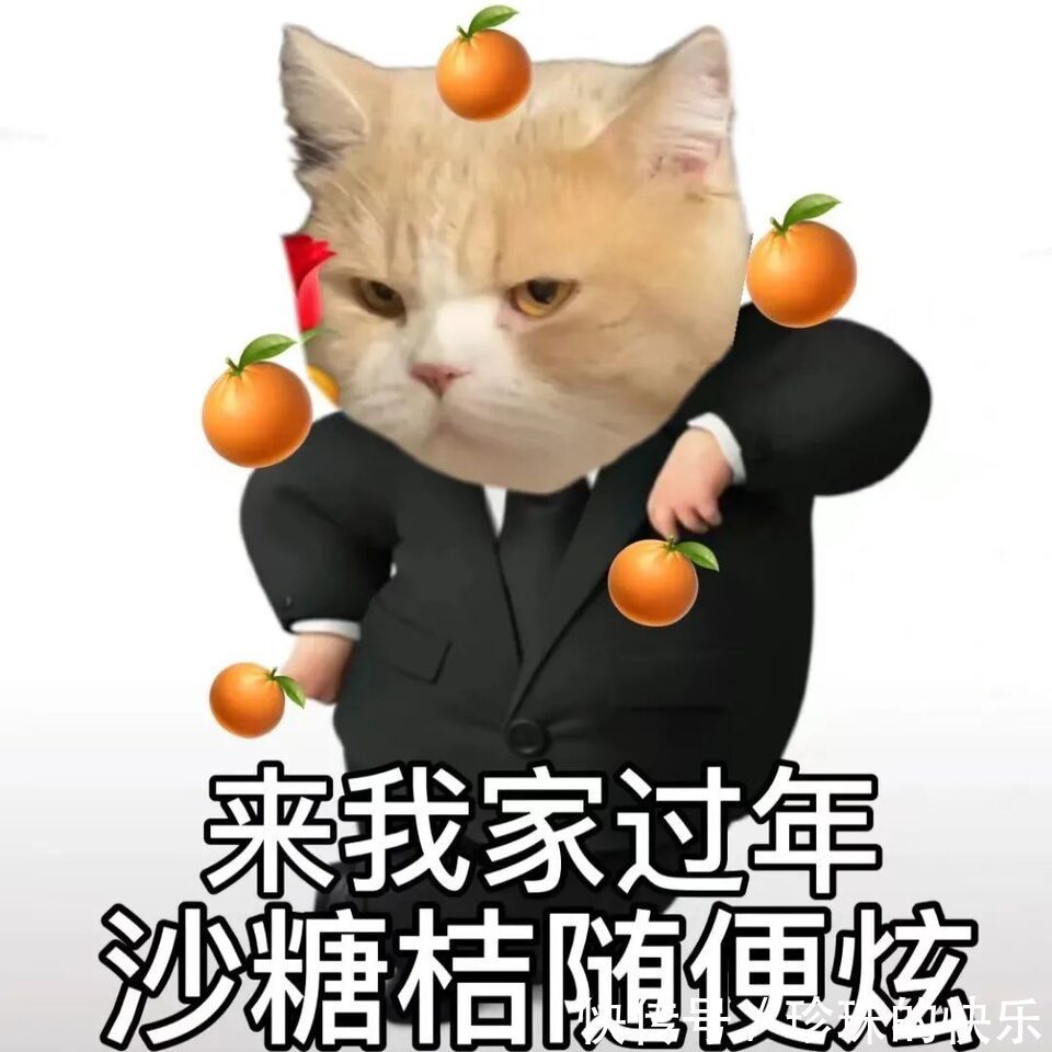 拜年|必存!新年拜年表情包丨第310期热门表情包