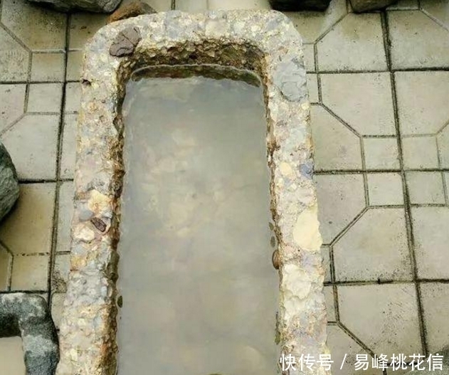 喂猪的东西,用来养花,花开起来迷死人!