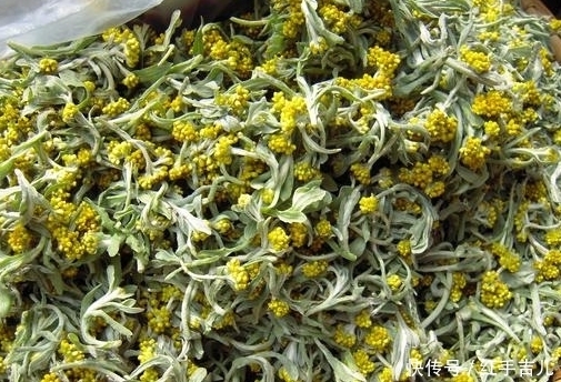 农民|田埂上一矮小野草,农民用来做糍粑,是传统美食,营养价值高