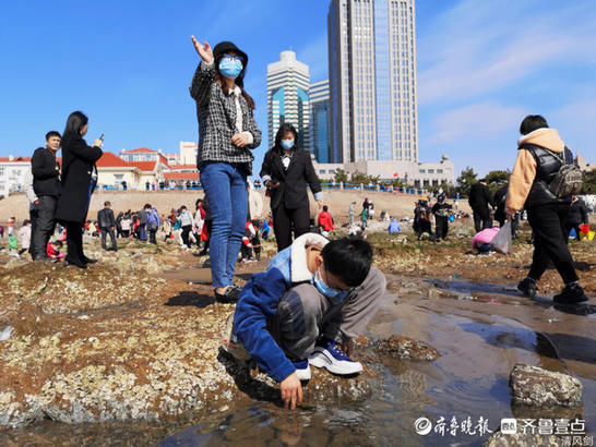 格陵兰岛|热闹！青岛栈桥海滨，游客人流如潮