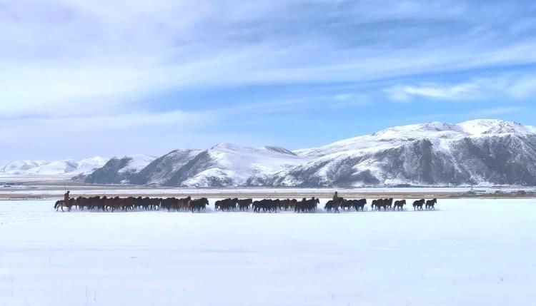 骑马|-38℃，骑马的兵哥哥真帅！