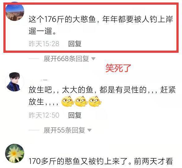 男子钓到176斤大鱼,身形跟人一样长,“年年都要被钓上岸”
