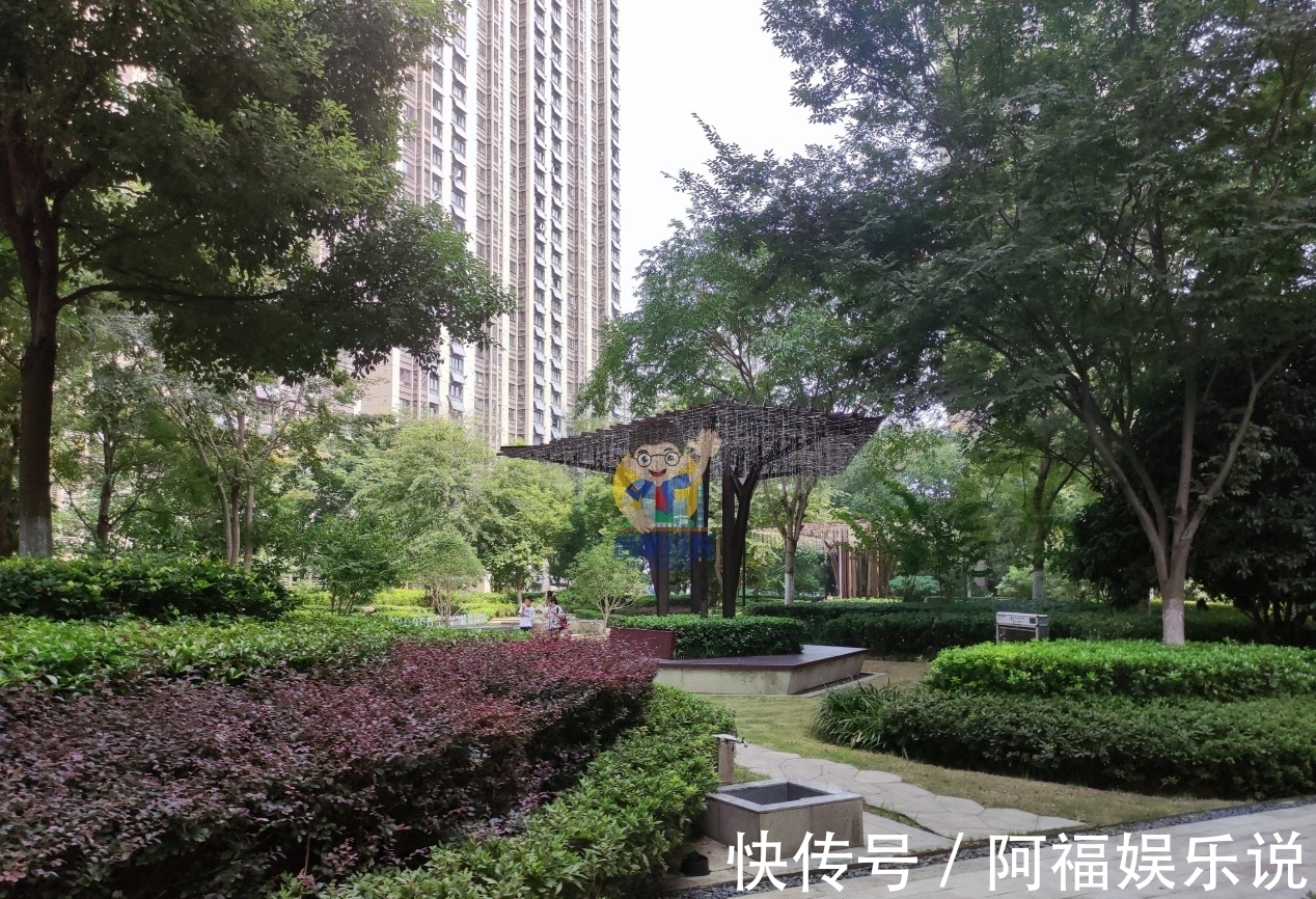 万科|这里是合肥北部出名的富人小区，实探万科森林公园品质究竟如何？