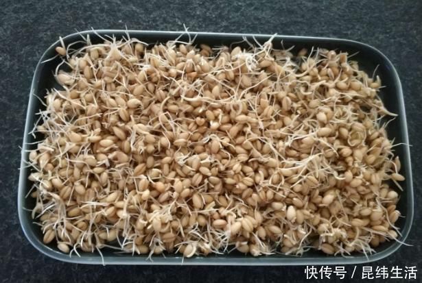 蒲公英|宝宝断奶，断奶时间别忽视，医生：这个时候断奶会更顺利