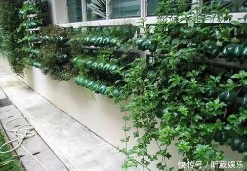 8个用塑料瓶制作的景观,有人觉得好看实用,但有人说丑爆了