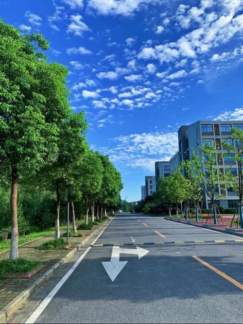 南京这所二本大学不简单，毕业生多数成公务员，江苏录取分数线超一本