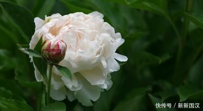 所謂名中醫,往往口是心非、表里不一!附老中醫黃煌20條經典語錄