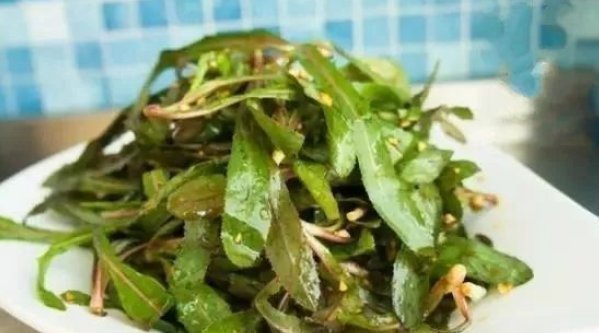 野花野草|在家乡见到此种野草,切记只摘叶子,不要挖根,因为太珍贵了